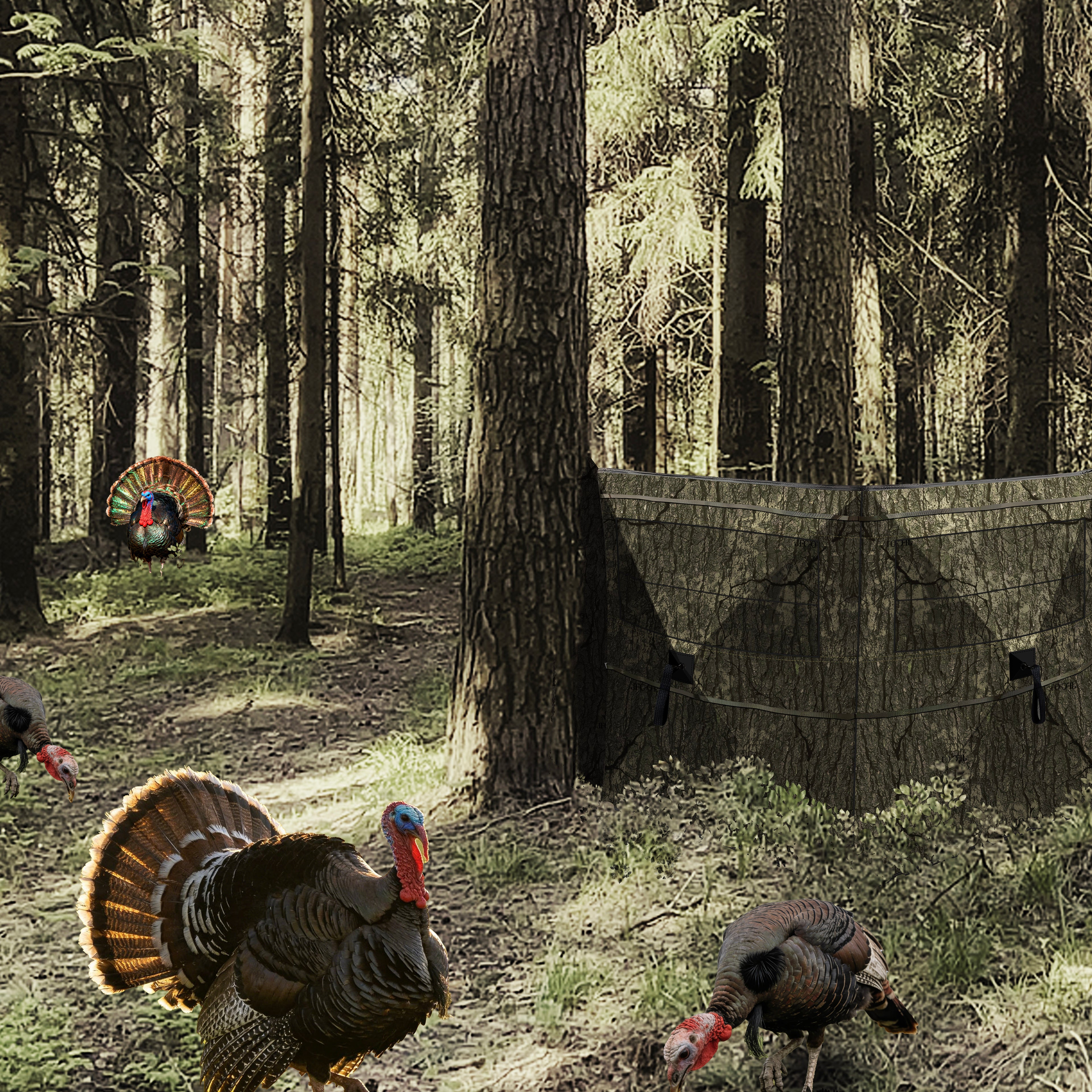Hunting Blind for Turkey, 3-Panel See-Through Turkey Blind, Full 360° Visibility Pop Up Ground Blind